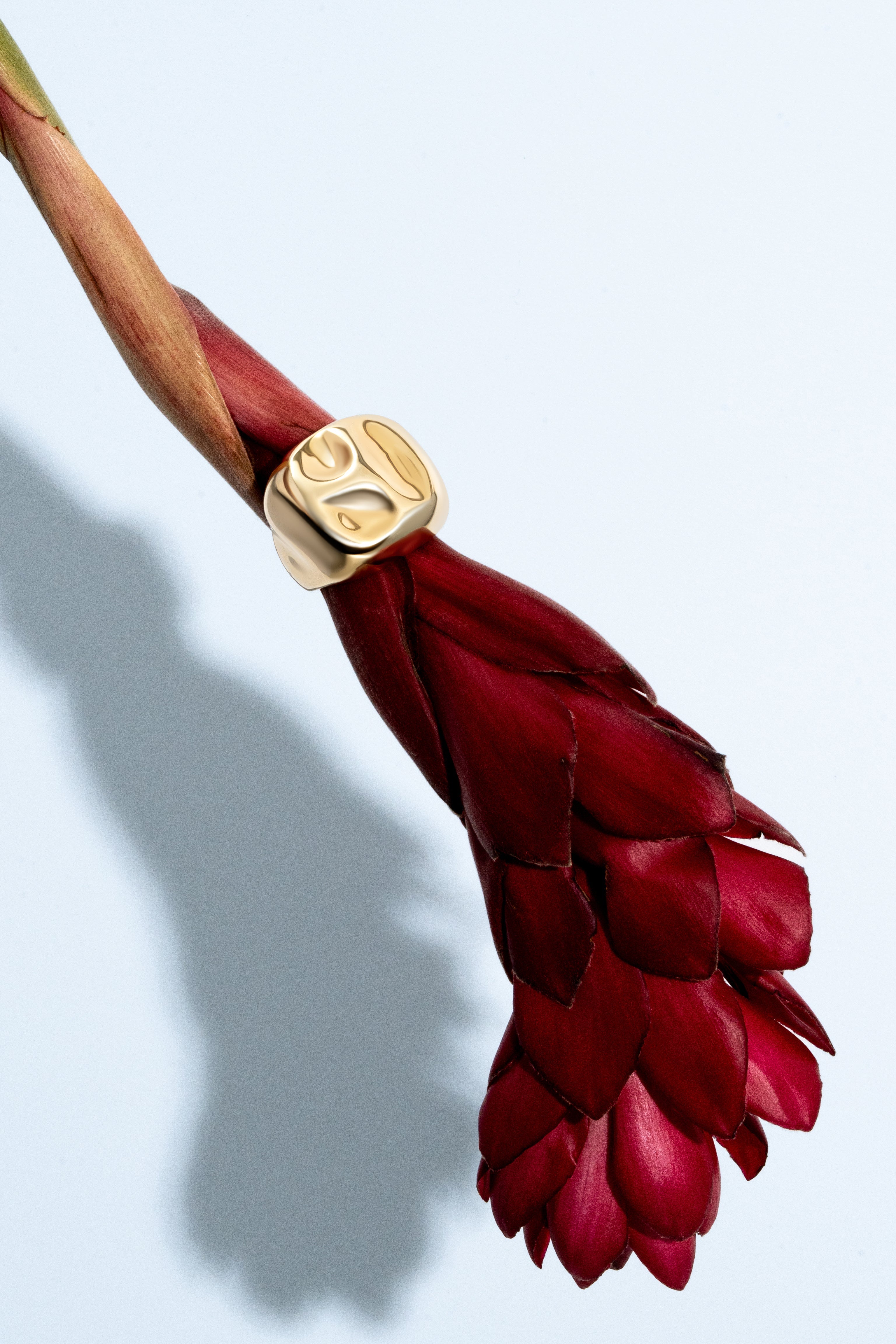 Sara Hammered Gold Ring